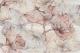 <label itemprop='name'>Πλακάκια  Διακοσμητικά Tοίχου POLIS -Serie  Volcano  Decoro Petunia beige A+B  20x60 cm</label>