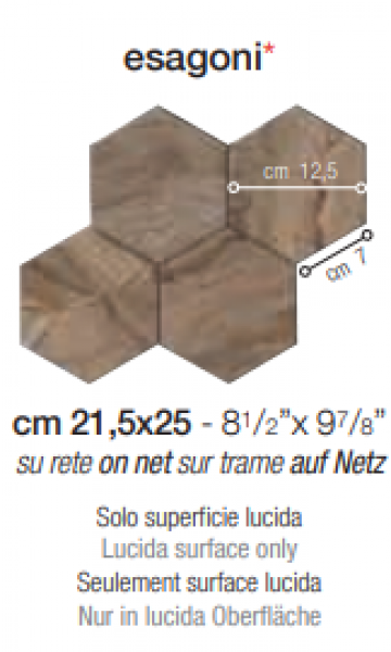 <label itemprop='name'>esagono M2.</label>