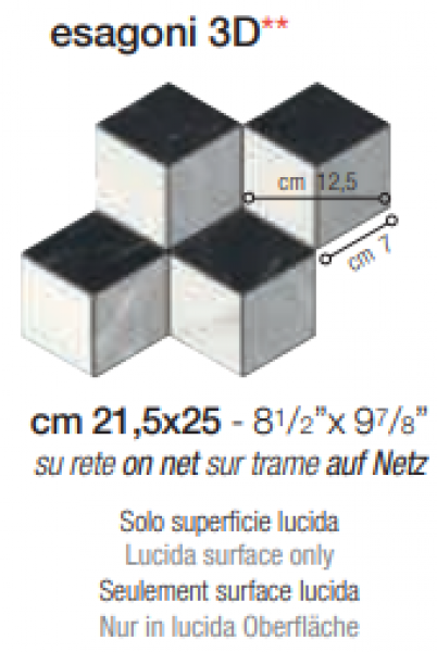 <label itemprop='name'>esagoni 3D.</label>